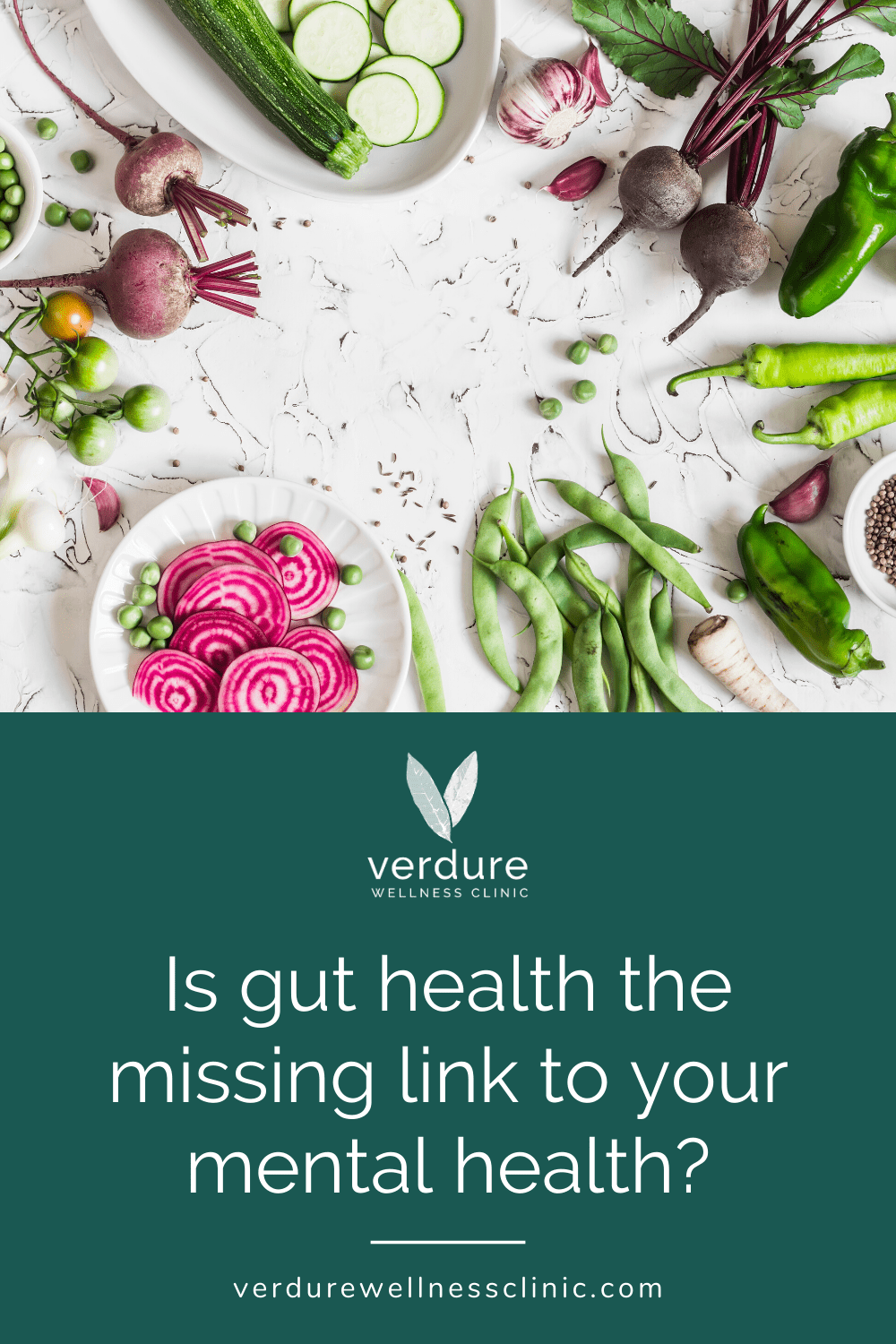 gut health mental health microbiome probiotics IBS anxiety depression nutrition gut bacteria