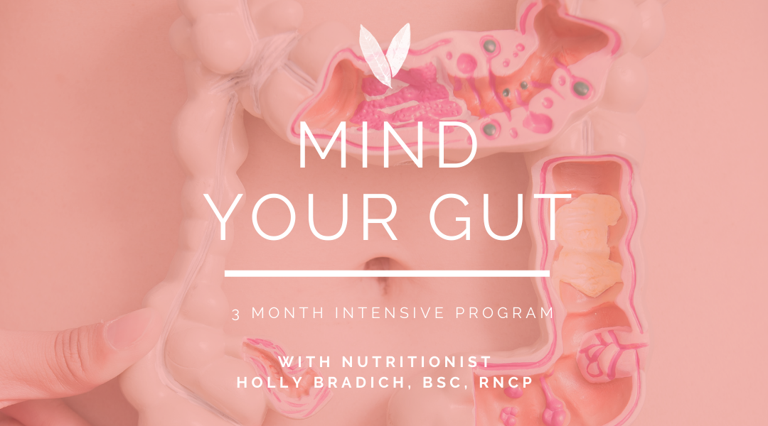 mind your gut package nutrition digestive health Holly Bradich